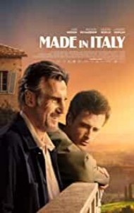 Made in Italy (2020) English Movie