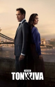 NCIS: Tony and Ziva (2025) S01 Hindi Dubbed Web Series